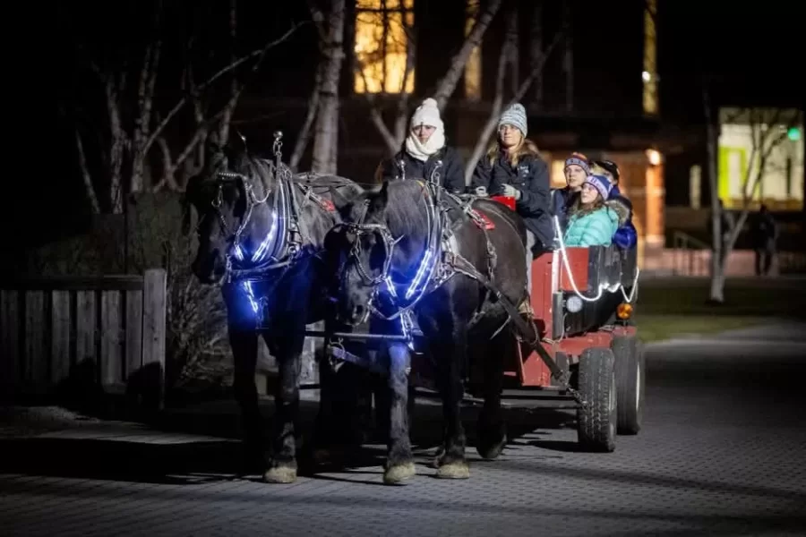 During Harvest Dinner, a horse drawn carriage makes it way around campus!
