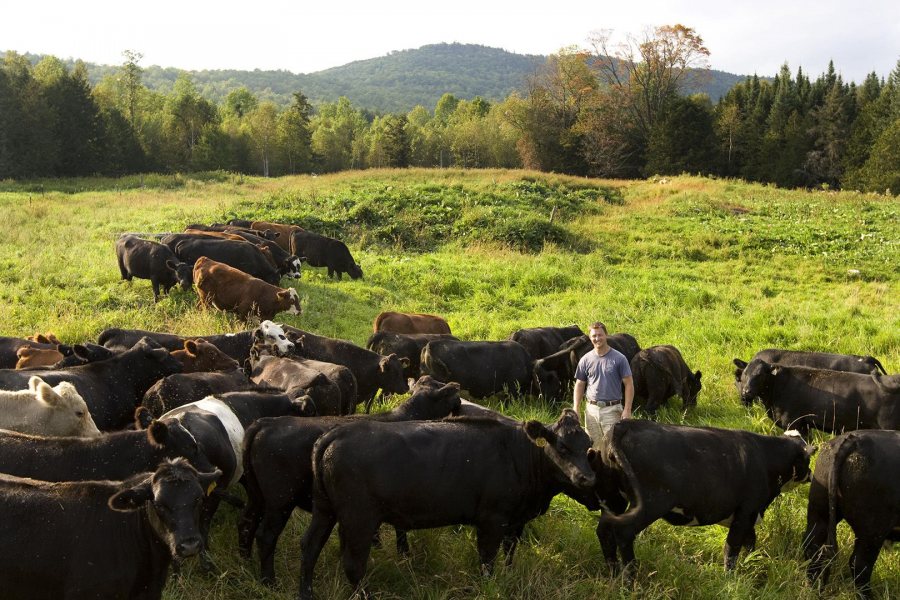 Gabe Clark '02 poses with his beef cattle on Cold Spring Ranch in New Portland, Maine, in 2008. (Phyllis Graber Jensen/Bates College) 