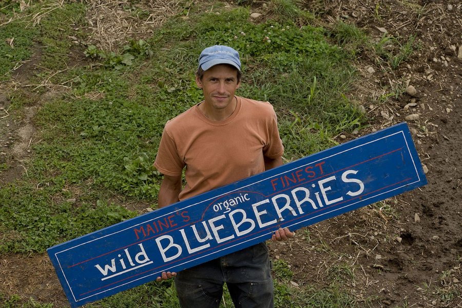 Nicolas Lindholm '86 owns Blue Hill Berry Co. in Penobscot, Maine. (Phyllis Graber Jensen/Bates College)