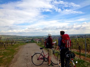 Biking in Alsace, France. Photo: Eric Adamson