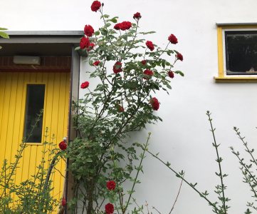 Onkel Toms Hütte (Photo: Holly Bushman)