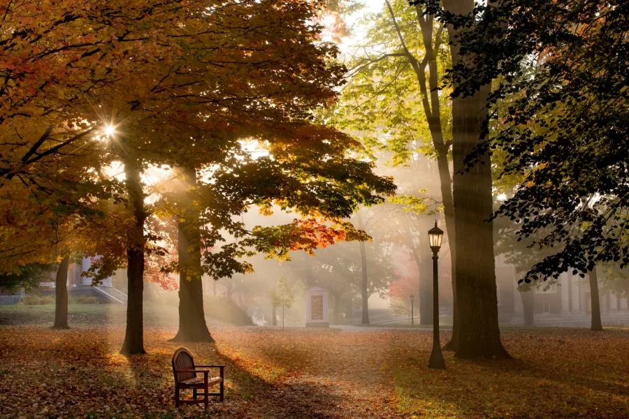 Fall sun shines through trees on Bates' historic Quad.