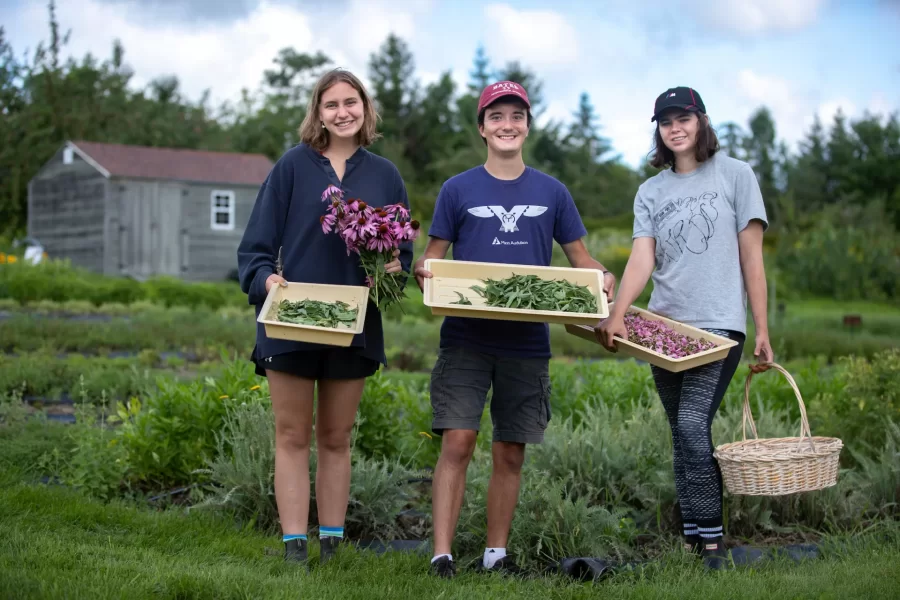 Three Bates students pose with baskets of herbs.
