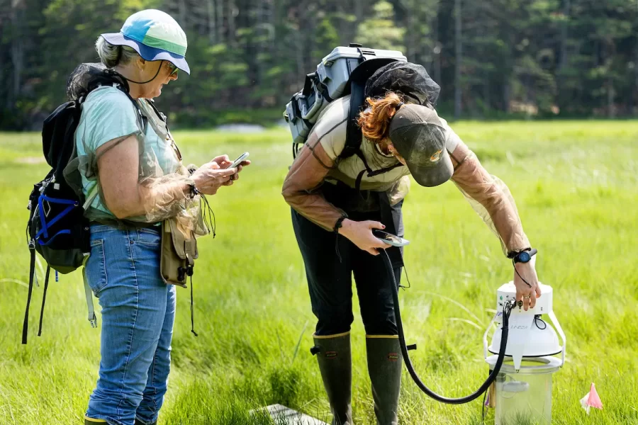 Professor of Earth and Climate Sciences Beverly Johnson takes her summer research students who are studying blue carbon cycling in salt marshes to Bates-Morse Mountain in Phippsburg. Bates offers financial support for students conducting research during the academic year and the summer.
