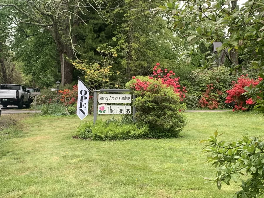 Kinney Azelea Gardens