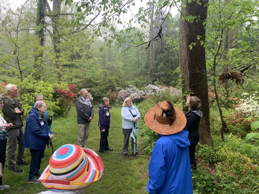 Kinney Azelea Gardens