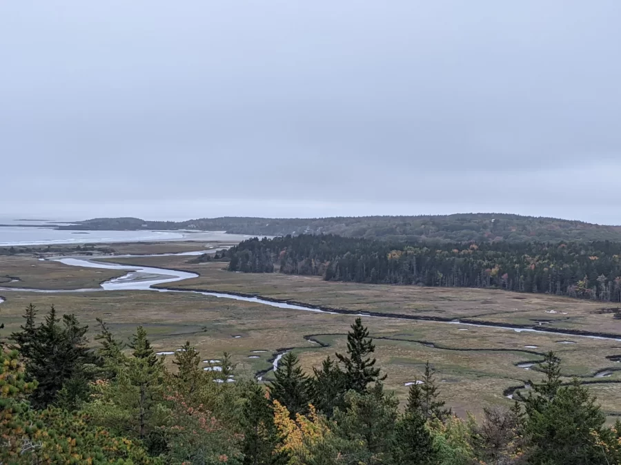 Bates Morse Mountain - view from up high looking out over tidal marsh and river leading to ocean.