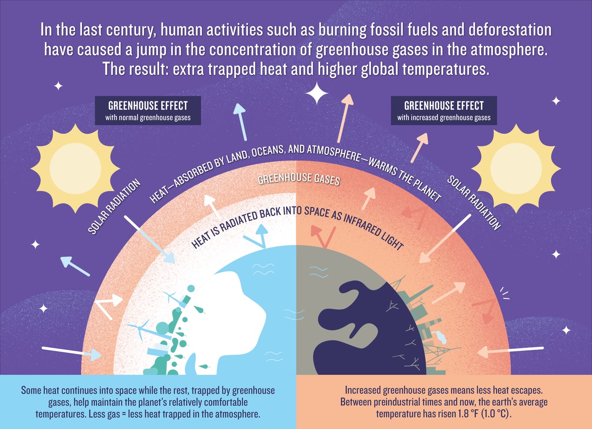 Ocean Acidification