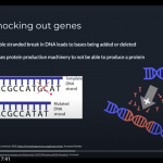 Gene Editing in Animals