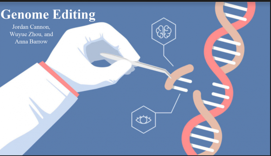 genome editing essay