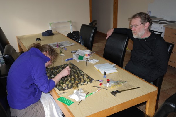 Amy Johnston '12 and Will Ambrose tag limpets for local climate change studies.