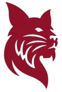 This image has an empty alt attribute; its file name is bobcat-1.webp