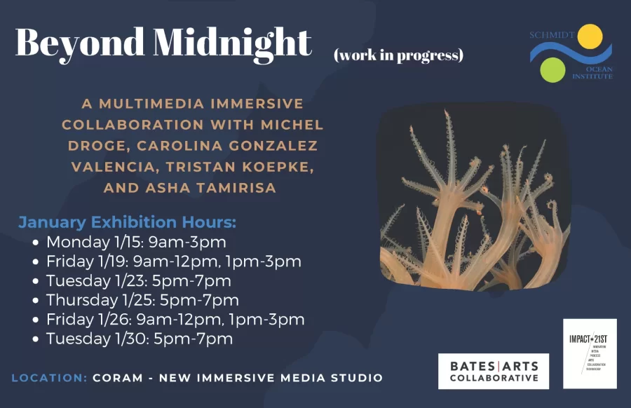 A multimedia immersive collaboration with Michel Droge, Carolina Gonzalez Valencia, Tristan Koepke, and Asha Tamirisa.
January…
