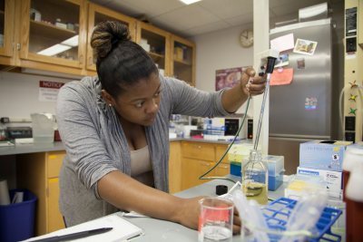 Caleb Glassman '14 and Destany Franklin '14 conduct research in a lab run by Nancy Kleckner, associate professor of neuroscience, on July 30, 2013. Marc Glass/Bates College