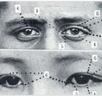 Race – The Power of an Illusion Race – The Power of an Illusion