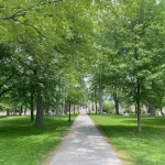 The Bates Quad in summer.