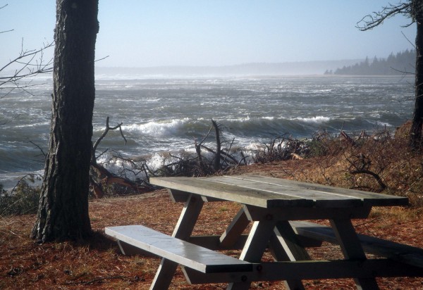 The roiling sea in December 2009 threatens the picnic area at Popham Beach. Photography by Stephen Dickson.