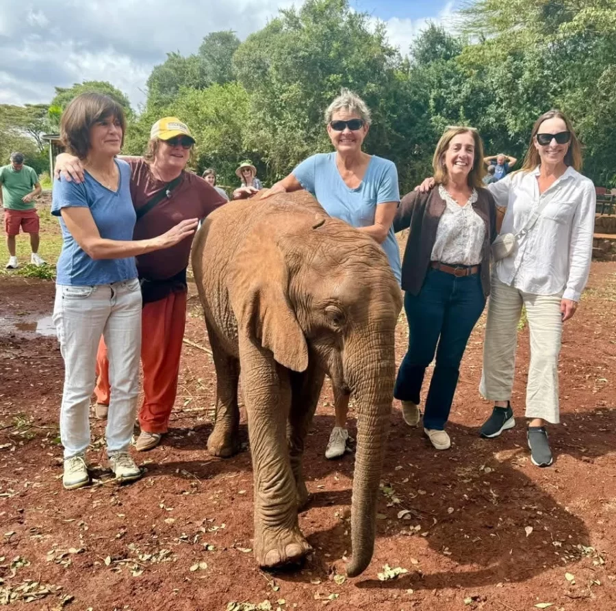 Shown with a baby elephant in Africa are Staci Warden, Jen Harris, Lisa Peace Tito, Lisa Petrini and Catherine Schmitz Bise