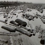 Berenice Abbott, Log Run, View from Boat, c. 1965, gelatin silver print, Museum purchase