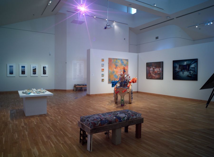 Anthropocenic: Art About the NAtural Worlds in the Human Era, 2018-19