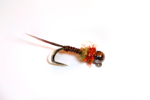 Nick Eaton, Ephemeroptera Naiad, 2020, digital photograph, 40 x 30 inches