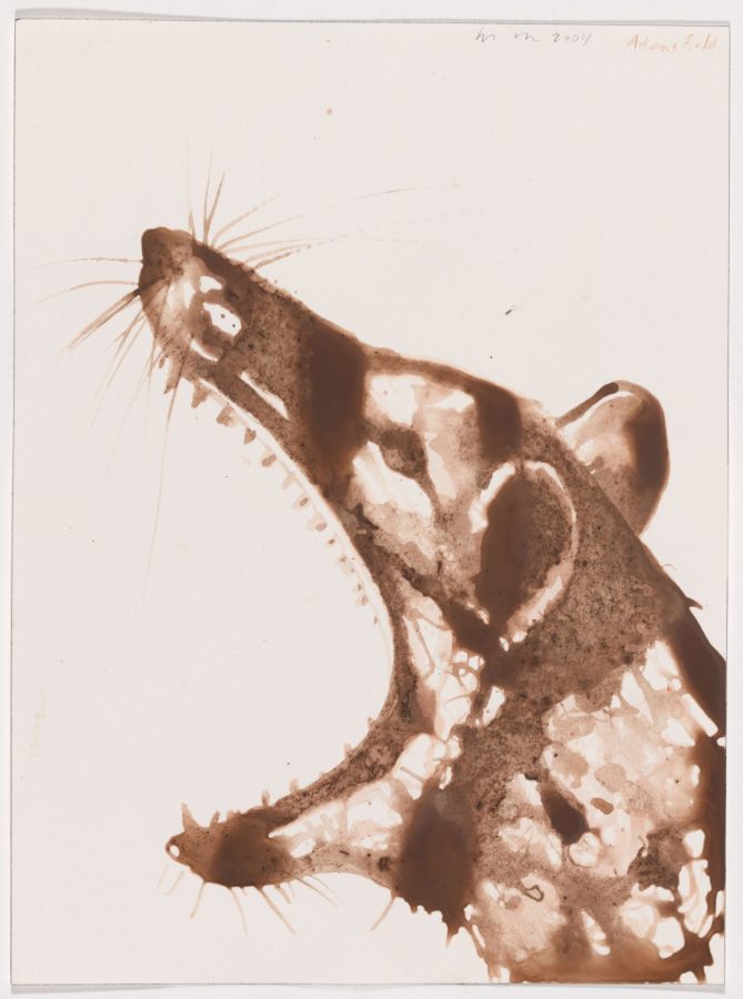 Alexis Rockman (American, b. 1962), Thylacine Drawing, 2004, soil and polymer on paper, 12 x 9 inches, Bates College Museum of Art purchase with support from the Robert and Minna Johnson Art Acquisition Fund, 2009.1.1