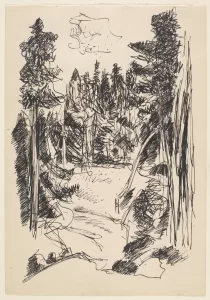 Marsden Hartley, [Forest Glade], ca. 1935-36, black ink on white paper, 9 7/8 x 6 7/8 in., Marsden Hartley Memorial Collection, Gift of Norma Berger, 1955.1.42