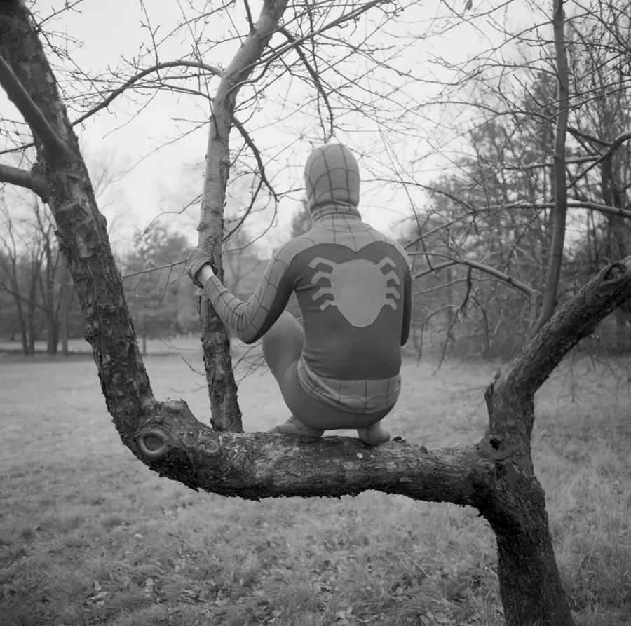 A boy crouches in the limbs of a low tree, facing away from the photographer, wearing a homemade spiderman costume