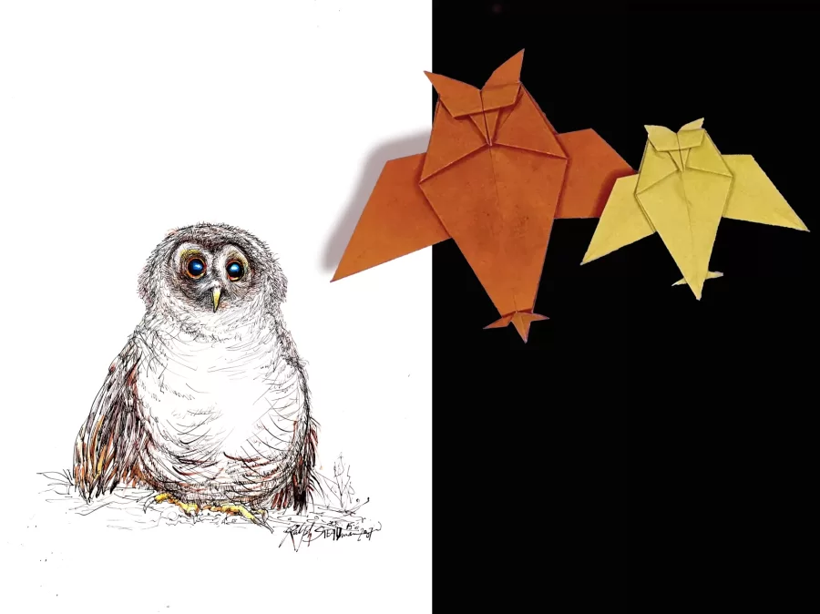 Join us for an Origami making workshop at the Bates Museum of Art, inspired by&hellip;