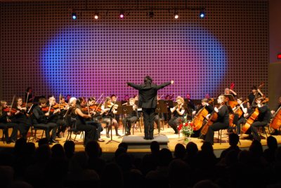 supportforORCH#2