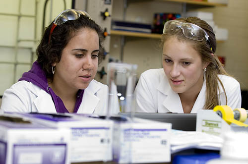 Summer chemistry research