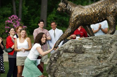 Greeting the Bobcat