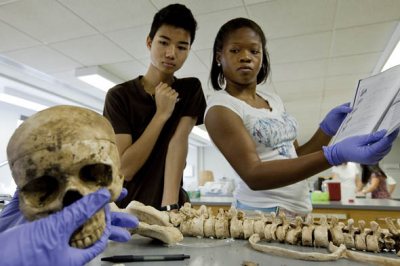 Summer Scholars