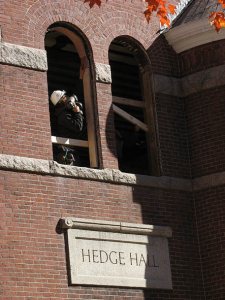 Hedge Hall window