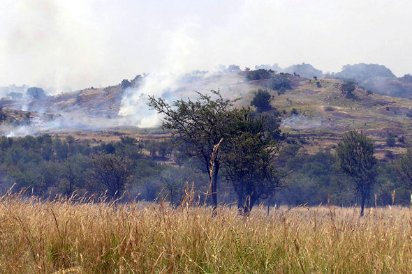3-fire_serengeti.jpg
