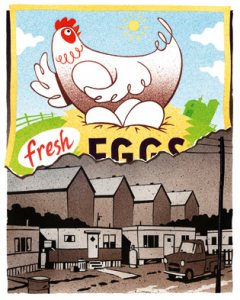 eggs_final-braun