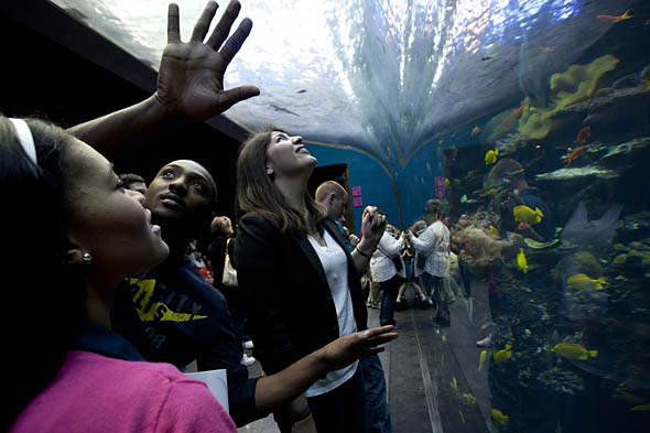 Atlanta Aquarium