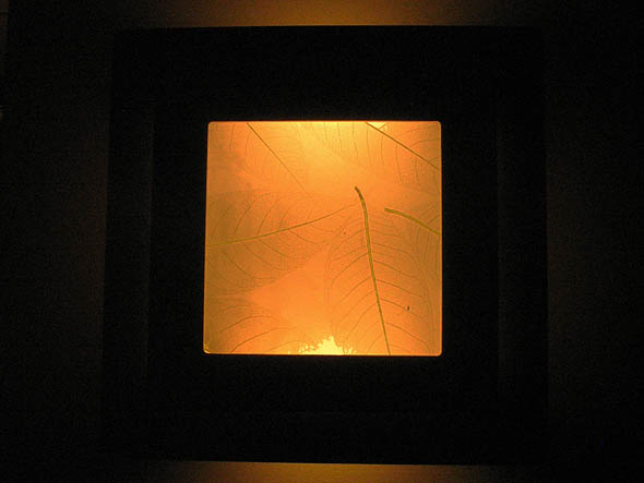 Light fixture, Hedge Hall