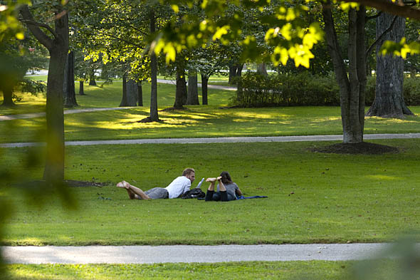 Studying on the quad