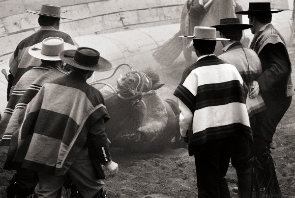 “Patagonia Rodeo,” Chile, for the nonprofit Patagonia Sur. Photograph by Alexander Verhave '05