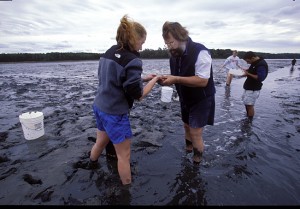 FPO-coastal mud flat