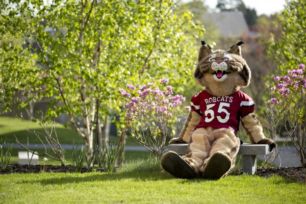 The Bobcat looks forward to May 15, when Bates seeks 555 additional alumni donors to the Bates Fund in one day. Photo by Phyllis Graber Jensen/Bates College