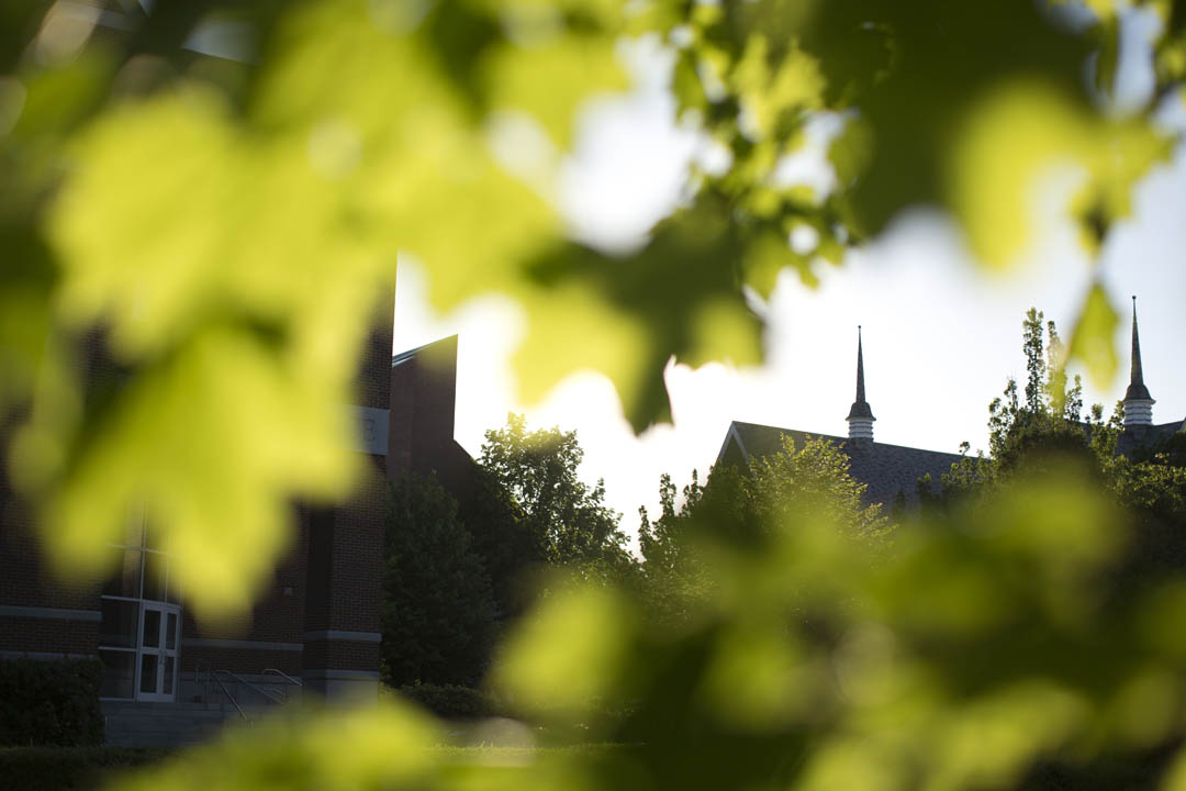 Sunlit trees frame Carnegie Science and Chase Hall. (Phyllis Graber Jensen/Bates College)