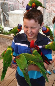 Stopping by the kid-friendly lorikeet aviary was part of intern Emilie Geissinger's duties at the Maritime Aquarium. Photograph courtesy of the Maritime Aquarium.