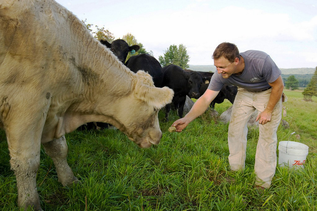 Gabe Clark '02 owns Cold Spring Ranch and is president of the Maine Grass Farmers Network. (Phyllis Graber Jensen)