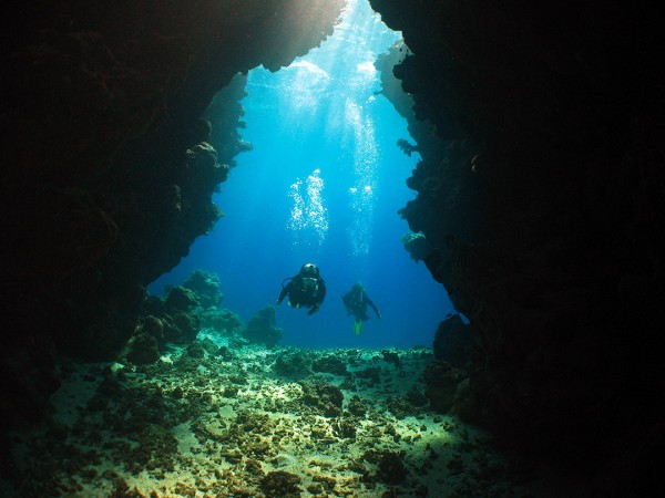 Kelton McMahon '05 (left) dives among coral reefs in the Red Sea. McMahon earned a doctorate from the joint MIT and Woods Hole Oceanographic Institution program in oceanography. (Michael Berumen / Woods Hole Oceanographic Institution)