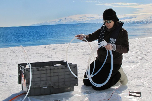 Kneeling on sea ice in the Ross Sea, Erin Bertrand '05 prepares to take a 1,000-liter sample of seawater as part of a 2013 study of whether the phytoplankton and bacteria in the seawater are starved for iron. (Photo by Jeff McQuaid) 