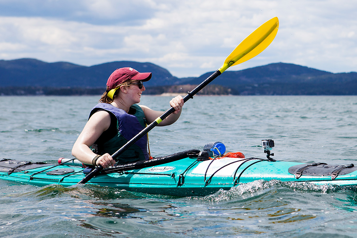 Video: 11 moments from a Short Term geology kayak trip to a coastal Maine island