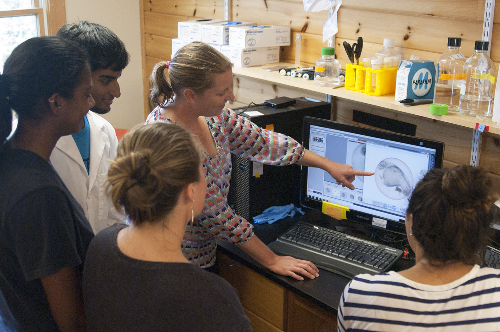 Bates biology professor Larissa Williams discusses the image of a zebrafish embryo at the Mount Desert Island Biological Laboratory on July 23. Mostly from Bates, the students with her are, from left, Nabil Saleem '15, Roshni Mangar (College of the Atlantic '16), Katie Paulson '15 and Sophie Salas '15. (Bill Church/MDIBL)