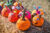 Rivaling the colors of campus foliage are these pumpkins painted by children on Saturday of Homecoming. (Rene Minnis for Bates College)